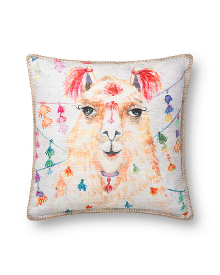 P0741 Multi 18"x18" Pillow