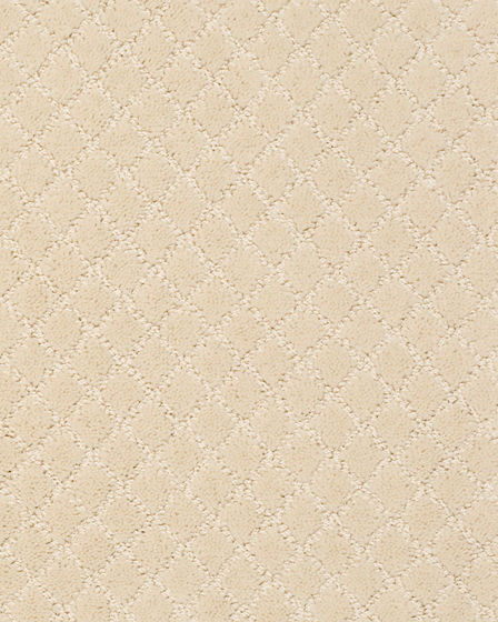 Pawnache Patterned Nylon Carpet