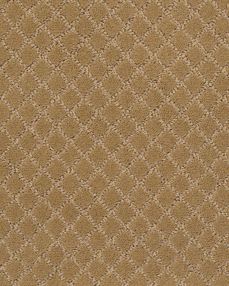Pawnache Golden Straw Carpet