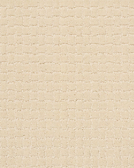 Pawstruck Patterned Nylon Carpet