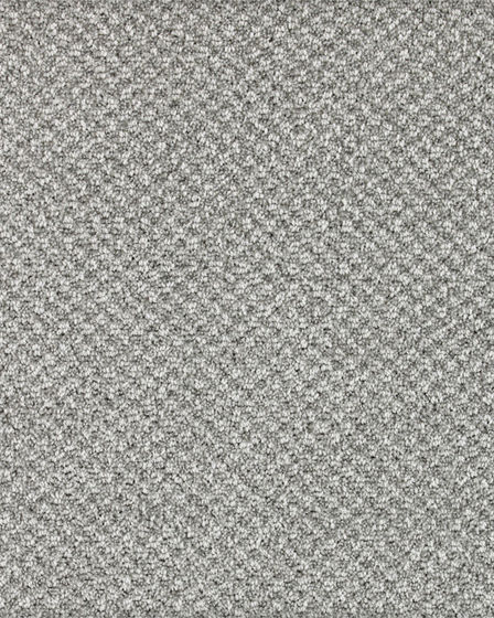 Pleasant Shades Kashmere Nylon Carpet