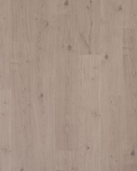 Pergo Elements Transom Sculpture Oak 8" Laminate
