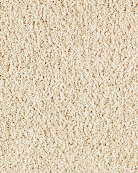 Pure Distinction II Textured SmartStrand Carpet