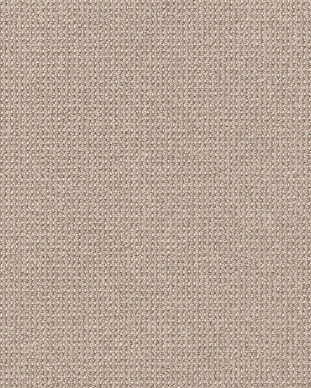 Purrfection Pet Friendly Nylon Carpet