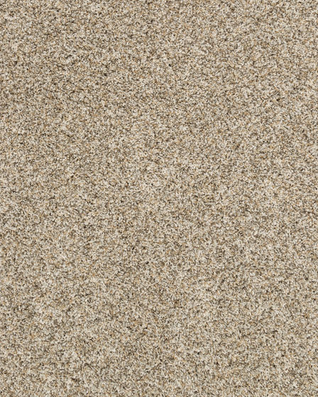 Purrsonality II Pet Friendly 60oz Carpet