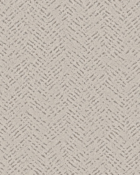 Quiet Trail Pet Friendly 43oz Carpet