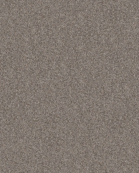 Refined Chic Chic Greige Textured Carpet
