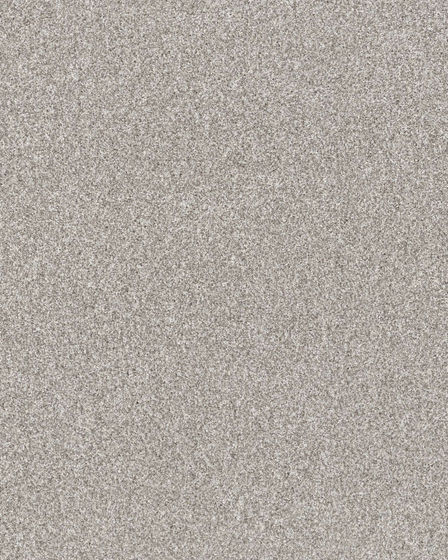 Refined Chic Frozen Textured Carpet