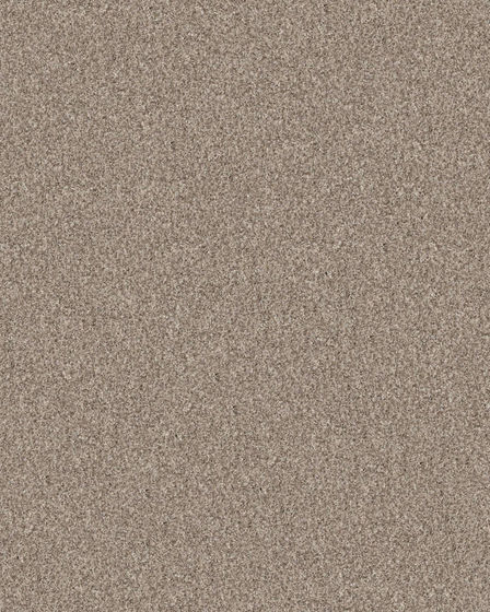 Refined Chic Natural Textured Carpet