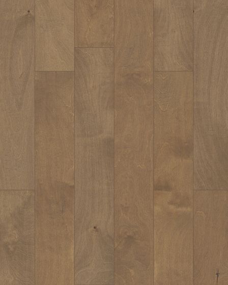 St. Petersburg Crescent Beach 5" Birch Hardwood