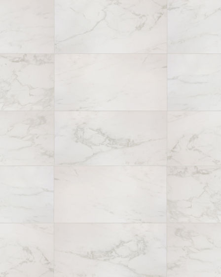 S.A.L.T. Calacatta 12x24 Honed Porcelain Tile