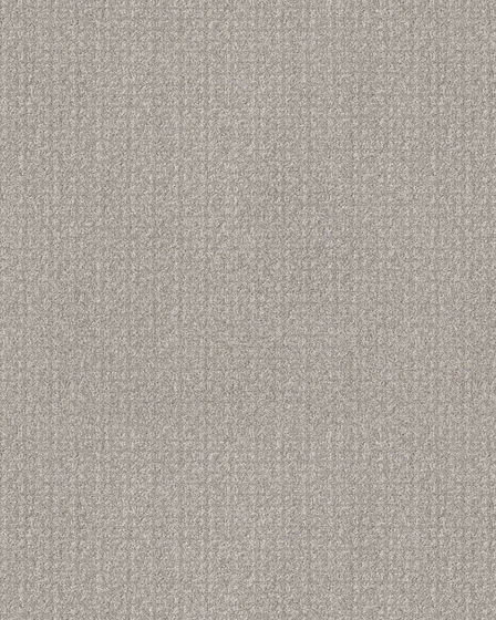 Secret Passage Pet Friendly 43oz Carpet