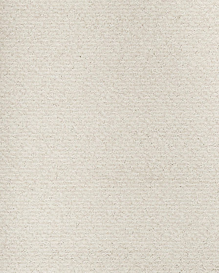 Peaceful Balance Nylon Carpet