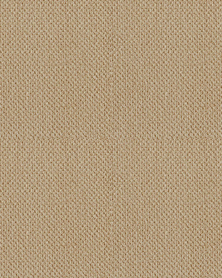 Smart Thinking Textured Loop Nylon Carpet