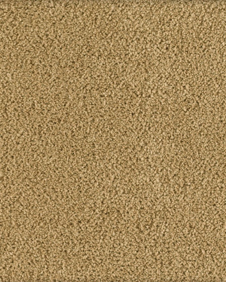 Soft Excellence Textured SmartStrand Carpet