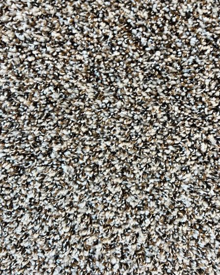 Soft Impact B Studio Textured Berber Carpet