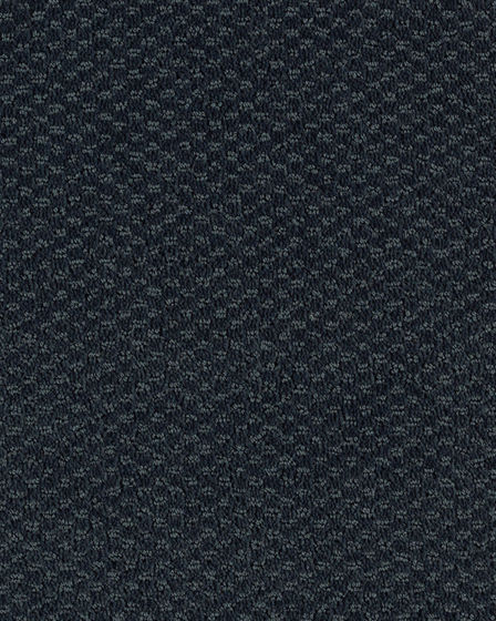 Subtle Allure Patterned SmartStrand Carpet