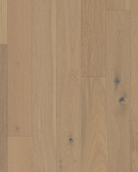 Empire White Oak Vanderbilt 5" Hardwood