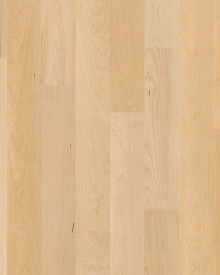 Natural Classics Hard Maple 5" Hardwood