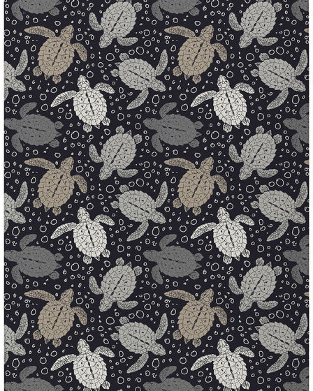 Seabreeze SZ13 Black Area Rug