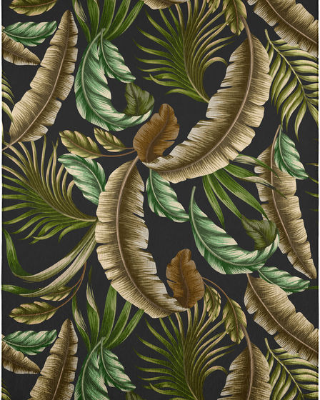 Tropics TC1 Black Area Rug