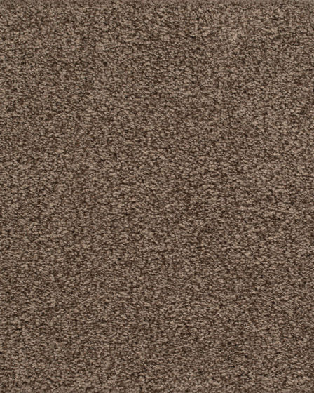 Tower View Kashmere Nylon Carpet