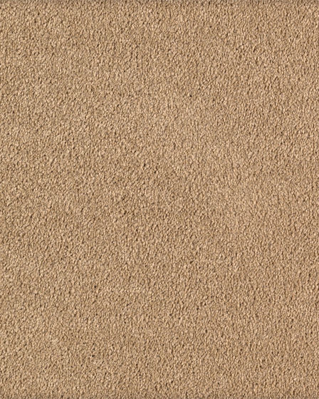 Tranquil Bliss Kashmere Nylon Carpet