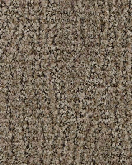 Trendy Charm Ancestral Carpet