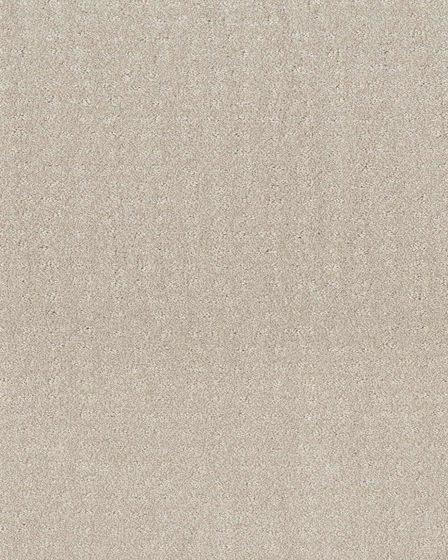Trendy Nylon 34oz Carpet
