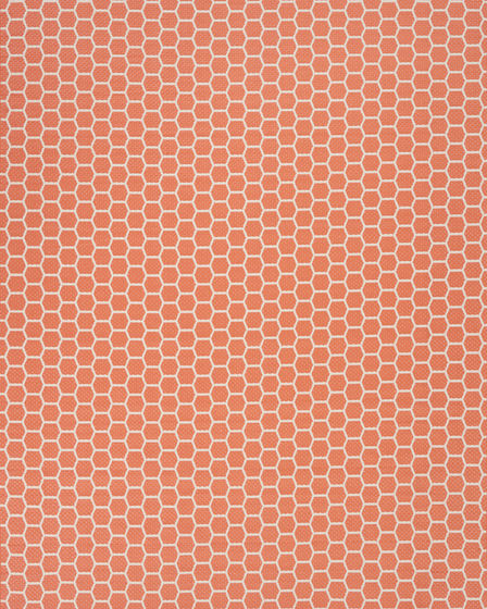 Twist Reversible TWS01 Coral Area Rug