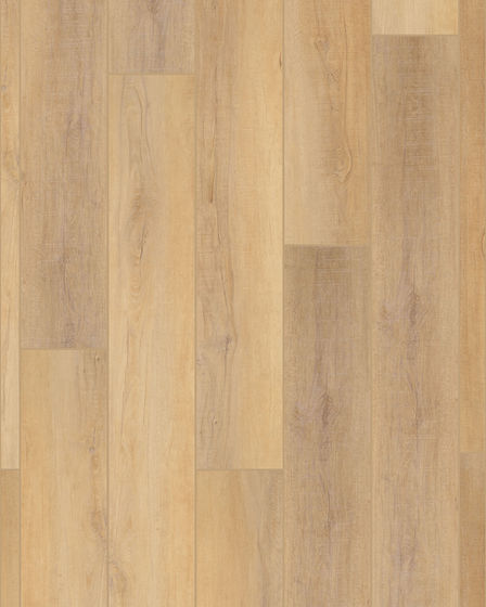 COREtec Pro Plus HD 9"x72" Canterbury Elm Luxury Vinyl
