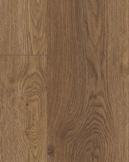 COREtec Plus XL Enhanced Arvon Oak Luxury Vinyl