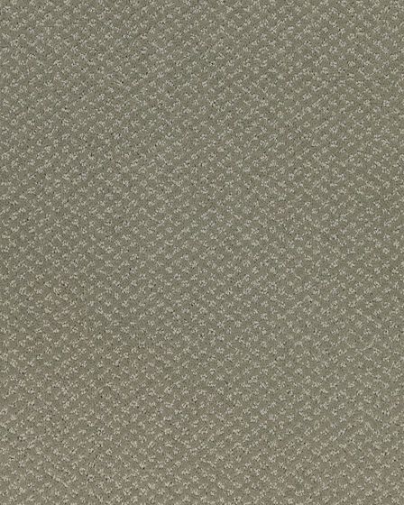Welcome Tradition SmartStrand 49oz Carpet
