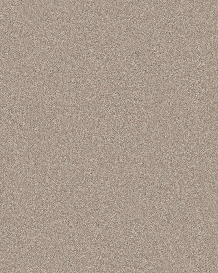 You Got This I Subtle Clay Carpet