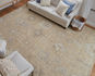 Grafton 69F8F Tan/Gray/Ivory Area Rug